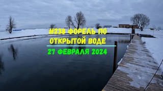 #238 Форель РК Русский осётр 27 февраля 2024