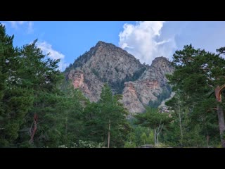 Каркаралинск. Лес. Горы. #каркаралинск  #природаказахстана