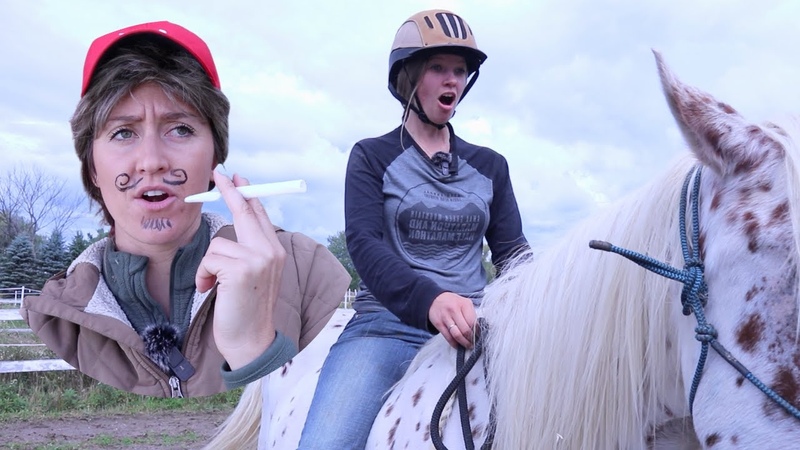 Every Horse Movie ever made,