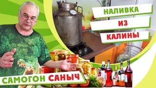 Наливка из калины. / Рецепты наливки / Самогон Саныч