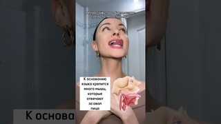 Упражнение от брылей и второго подбородка 🙌🏻 В описании подарок 🎁 для тебя🎁 Жми три точки вверху☝☝☝