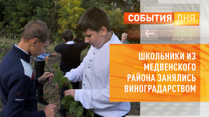 Школьники из Медвенского района Курской области занялись