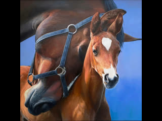 Horse with