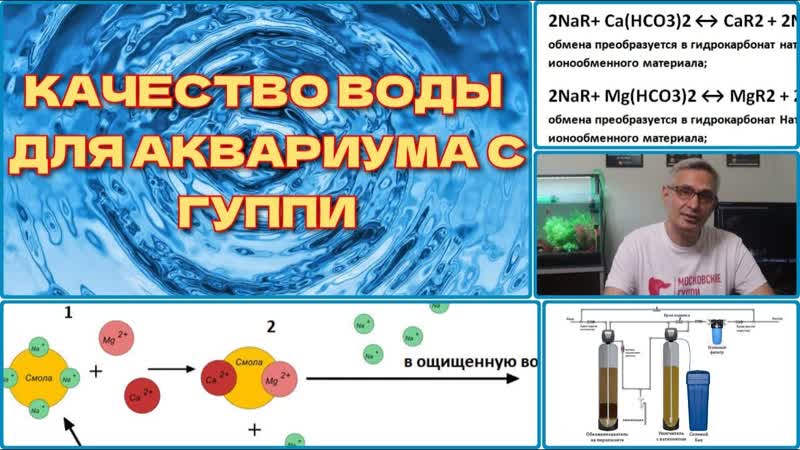 КАЧЕСТВО ВОДЫ ДЛЯ АКВАРИУМА С ГУППИ, WATER QUALITY FOR AQUARIUM WITH