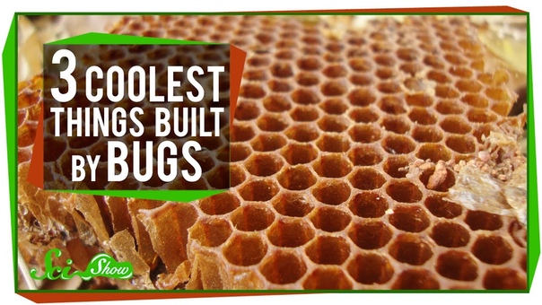 The 3 Coolest Things Built By
