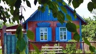 Village atmosphere, village sounds. ASMR Sounds of nature. Сozy atmosphere