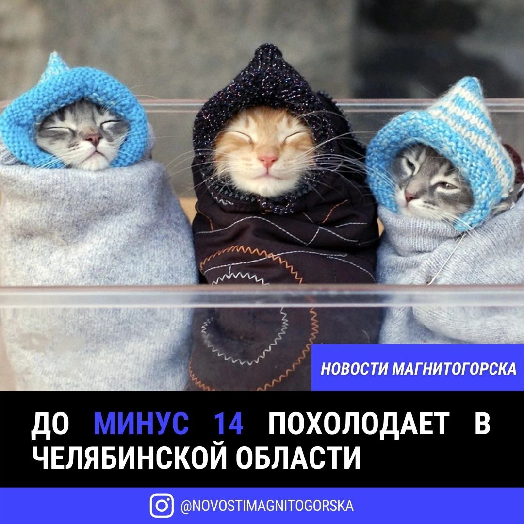 Похолодало картинки прикольные