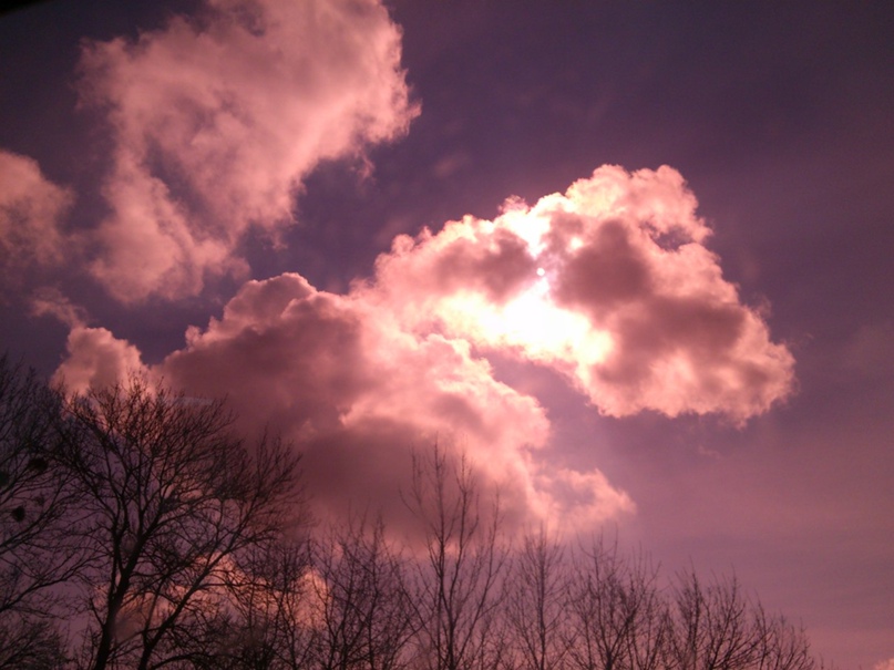 Сергей Никулин | Хмельницкий