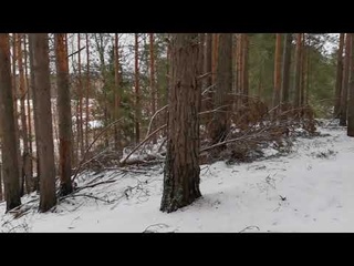 Прогулка не по первому снегу в лесу. Нашел странные палатки.
