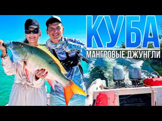 Обитатели МАНГРОВЫХ ДЖУНГЛЕЙ - рыбалка на Кубе с лодки | Где, как и сколько стоит