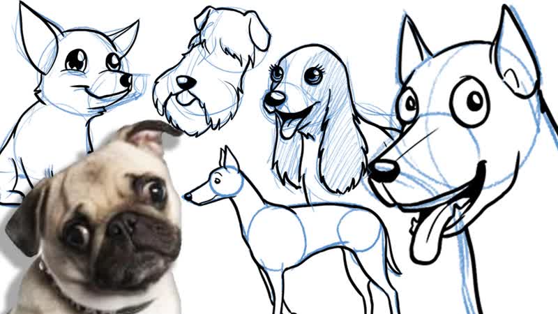 How to Draw a Cartoon Dog All breeds, and on different