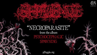 Effluence (USA) - Necroparasite Single (2021) (One Man Brutal Death Metal)