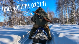 Два дня в зимнем лесу / Закрываем сезон охоты / Мотобуксировщик АЛЬБАТРОС М / День 1