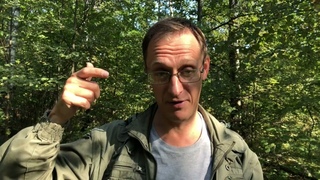 Вегетарианство и ЗОЖ для бездельников и неудачников
