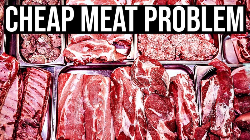 What is Behind Cheap Meat, Meat Lobby, ENDEVR